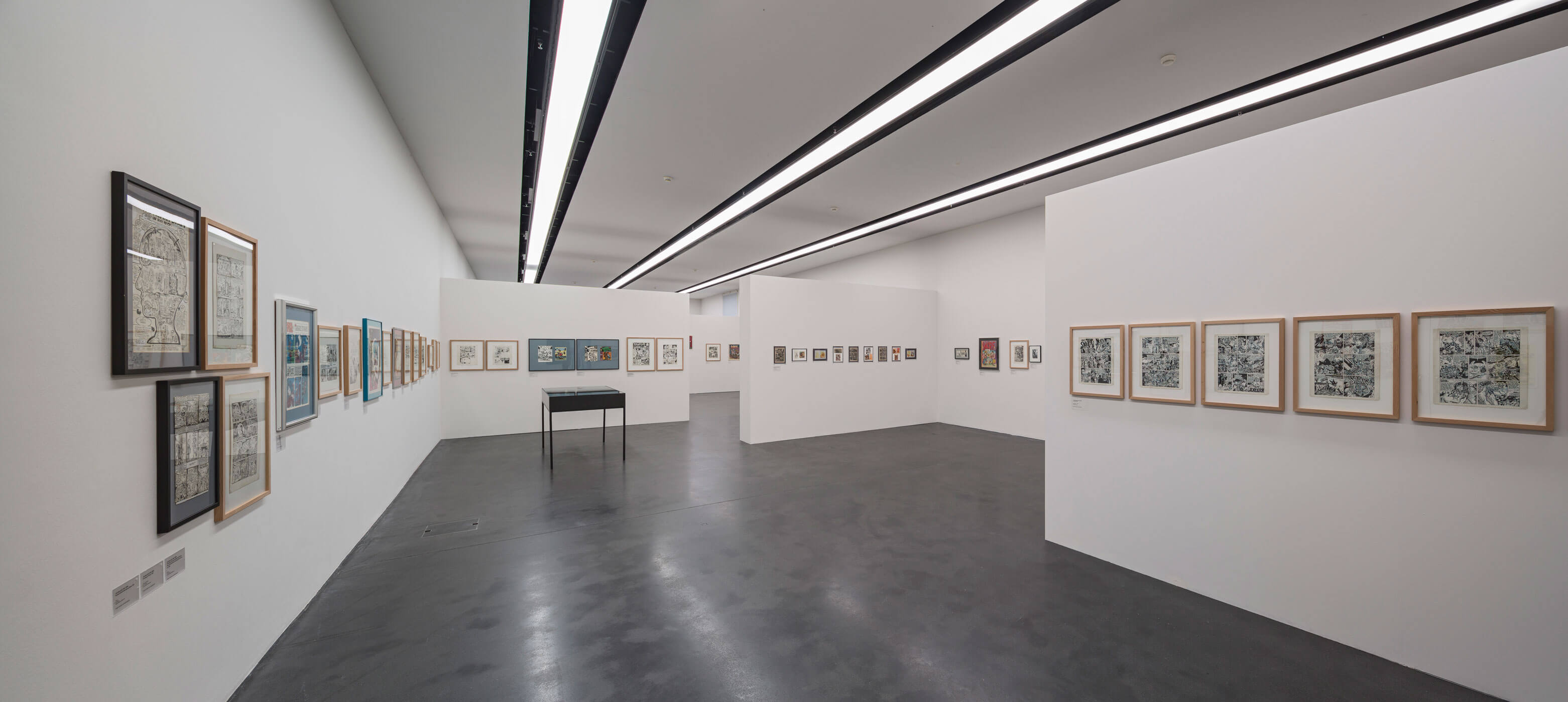 Crumb, Ausstellungsansicht Kunstmuseum Luzern, 2013