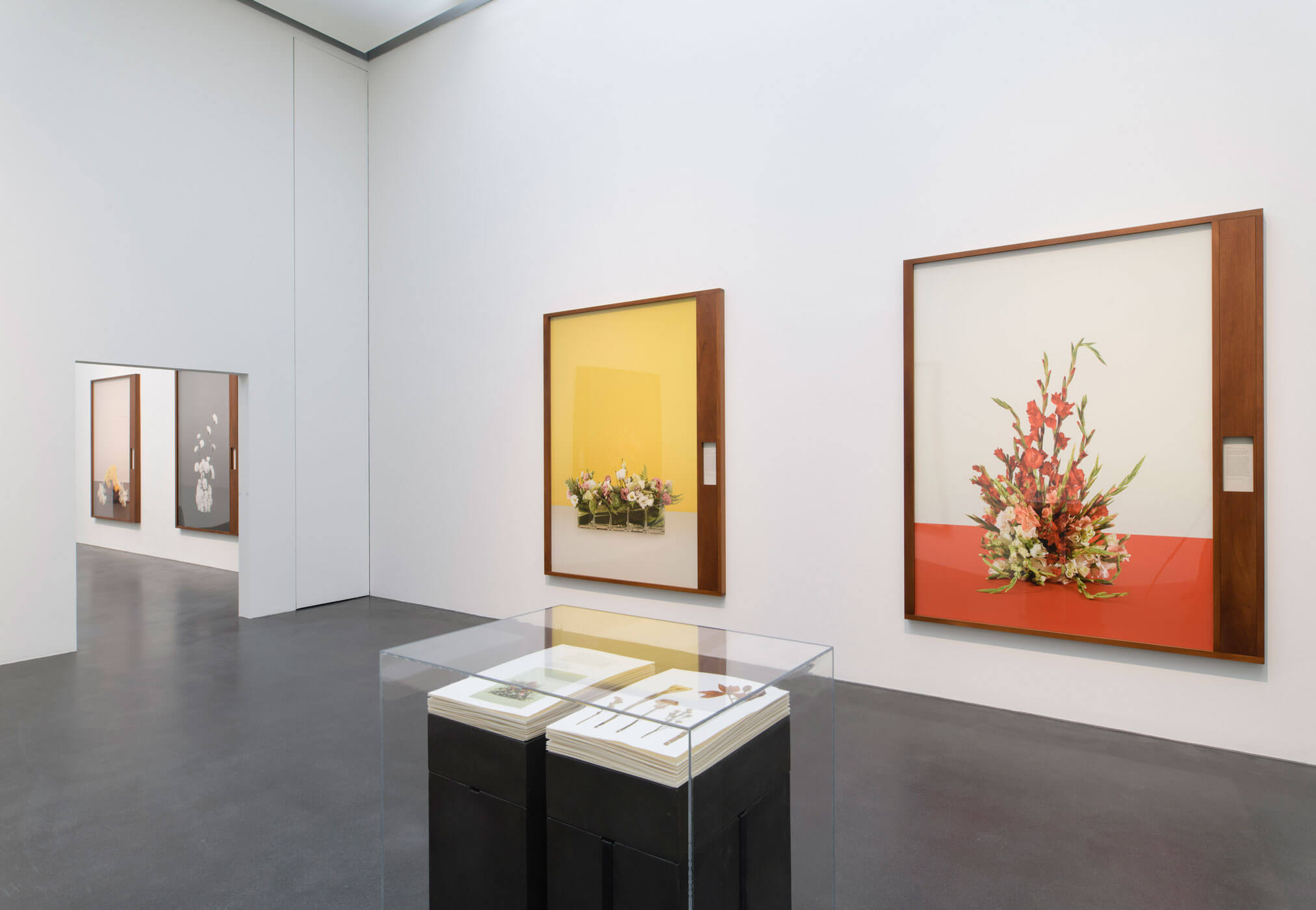 Taryn Simon, Shouting is Under calling, Ausstellungsansicht Kunstmuseum Luzern, Foto: Marc Latzel