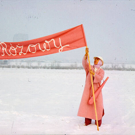 Person hält rosa Banner im verschneiten Feld